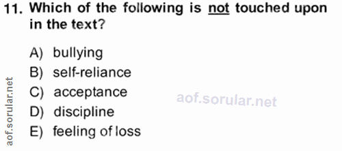 Soru 11