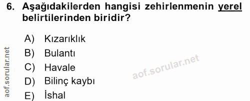 Soru 6