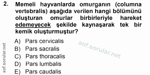 Soru 2