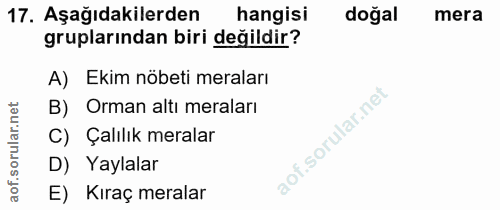 Soru 17