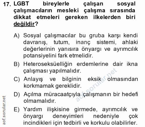 Soru 17