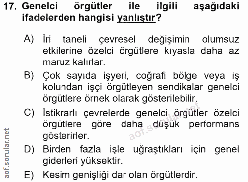 Soru 17