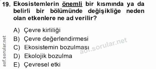 Soru 19