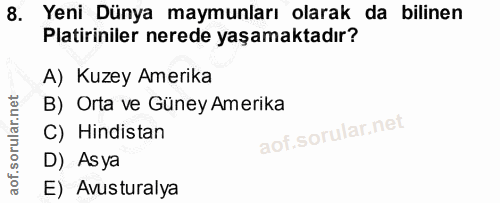 Soru 8