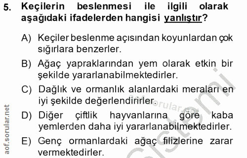 Soru 5