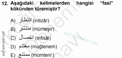 Soru 12