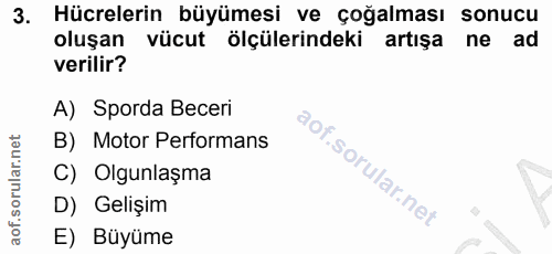 Soru 3