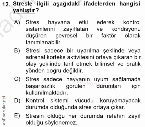 Soru 12