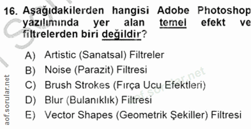 Soru 16