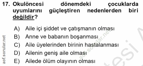 Soru 17