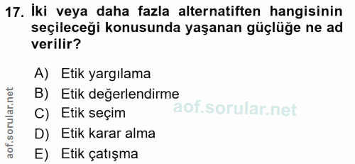 Soru 17