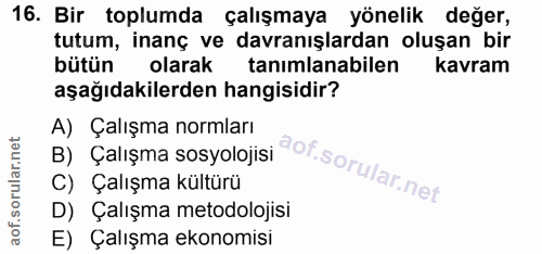 Soru 16