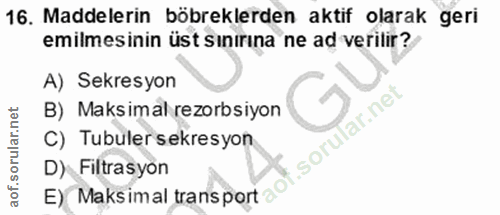 Soru 16