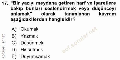 Soru 17