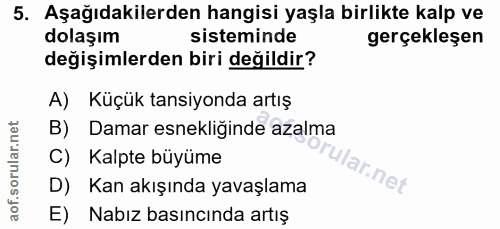 Soru 5