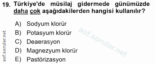 Soru 19