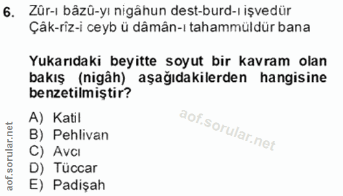 Soru 6