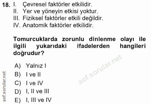 Soru 18
