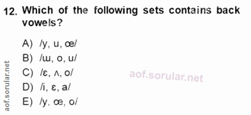 Soru 12