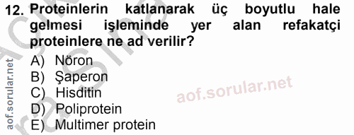 Soru 12