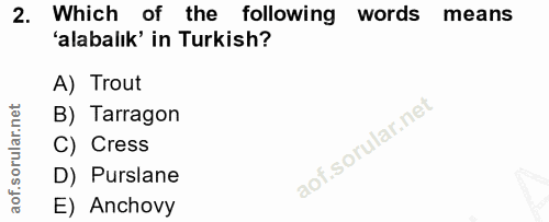 Soru 2