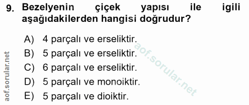 Soru 9