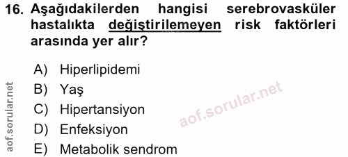 Soru 16