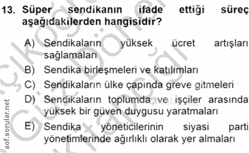 Soru 13