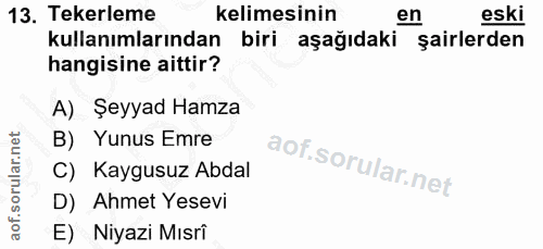 Soru 13