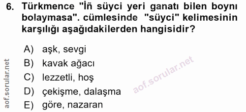 Soru 6