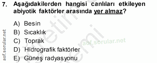 Soru 7