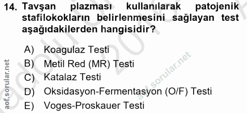 Soru 14