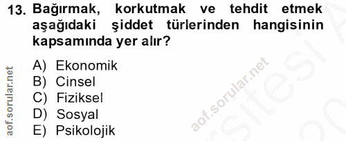 Soru 13