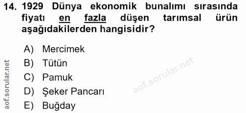 Soru 14