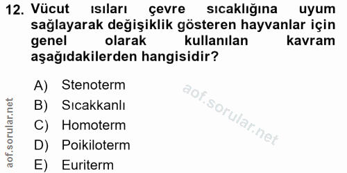 Soru 12