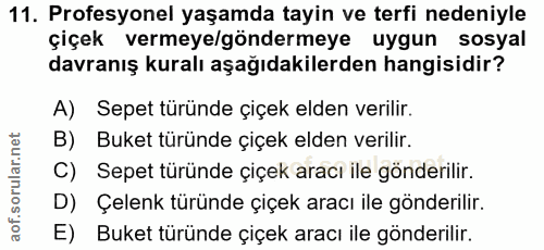 Soru 11