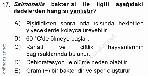 Soru 17