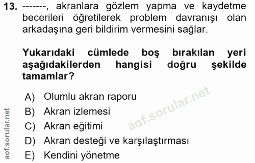 Soru 13