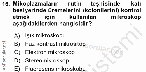 Soru 16