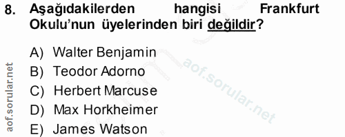 Soru 8