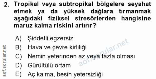 Soru 2