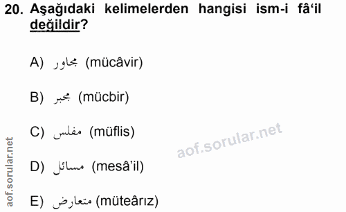 Soru 20