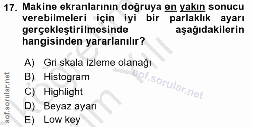 Soru 17