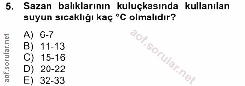 Soru 5