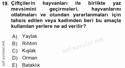 Soru 19