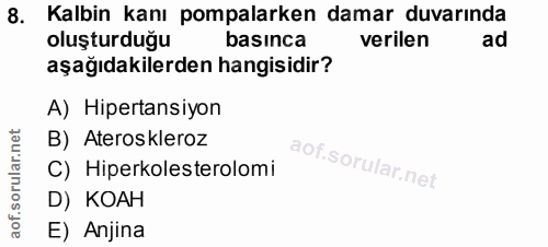 Soru 8
