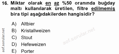 Soru 16