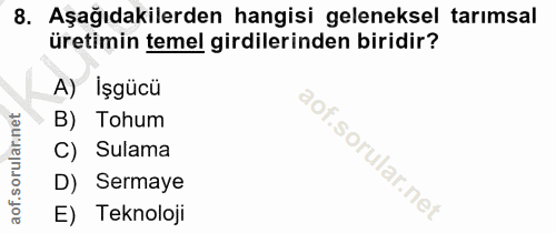 Soru 8
