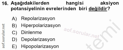 Soru 16