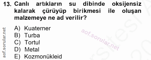 Soru 13